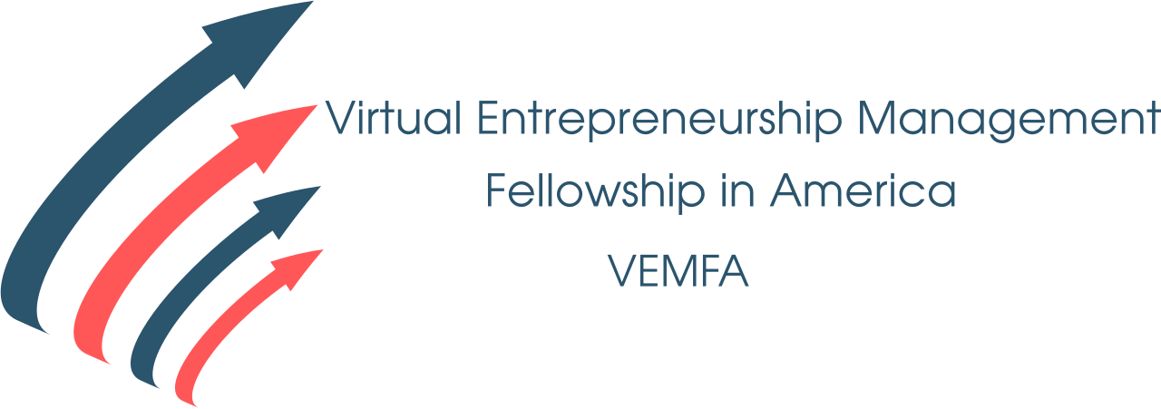 VEMFA Logo